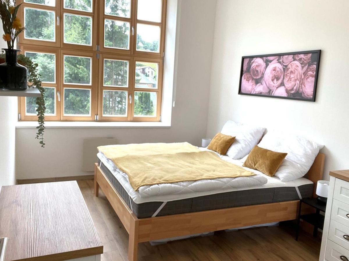 Residence Kotel Рокицани Экстерьер фото